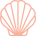 seashell icon